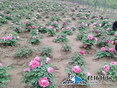 紅安春曉家庭農場拓展基地