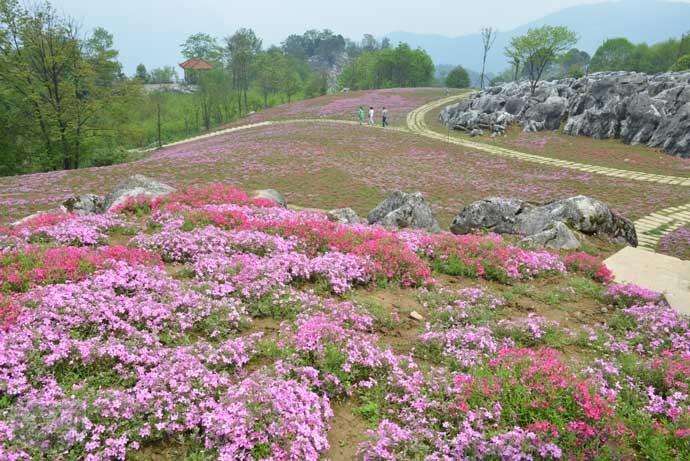 蘄春藥王谷拓展訓練基地